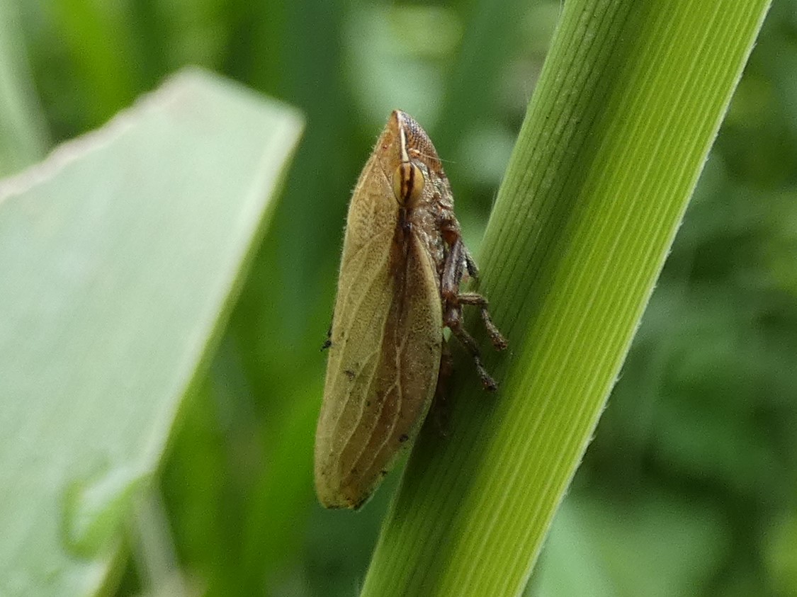 photo_2